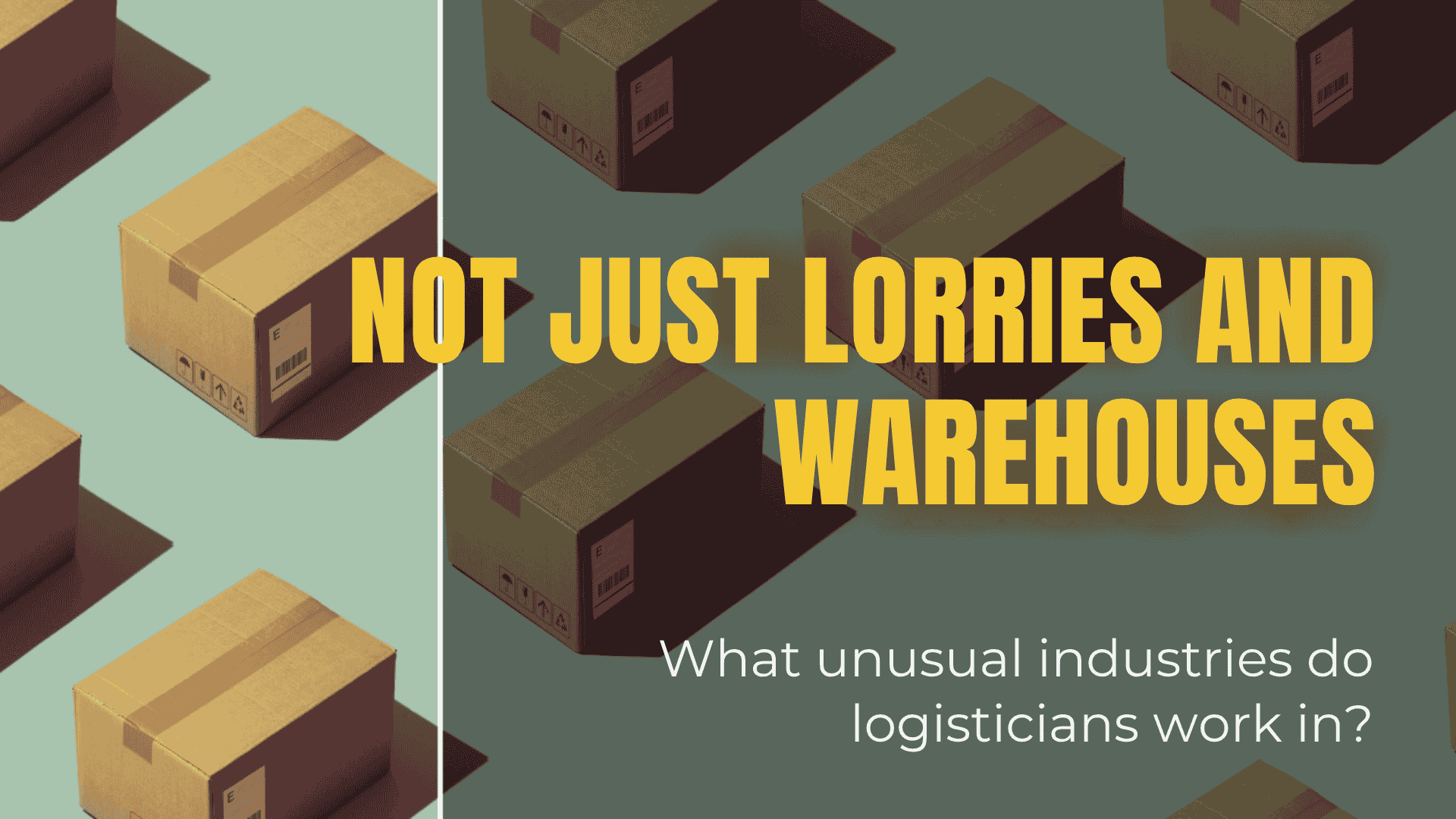 Not Just Trucks and Warehouses – Unusual Industries Where Logistics Professionals Work