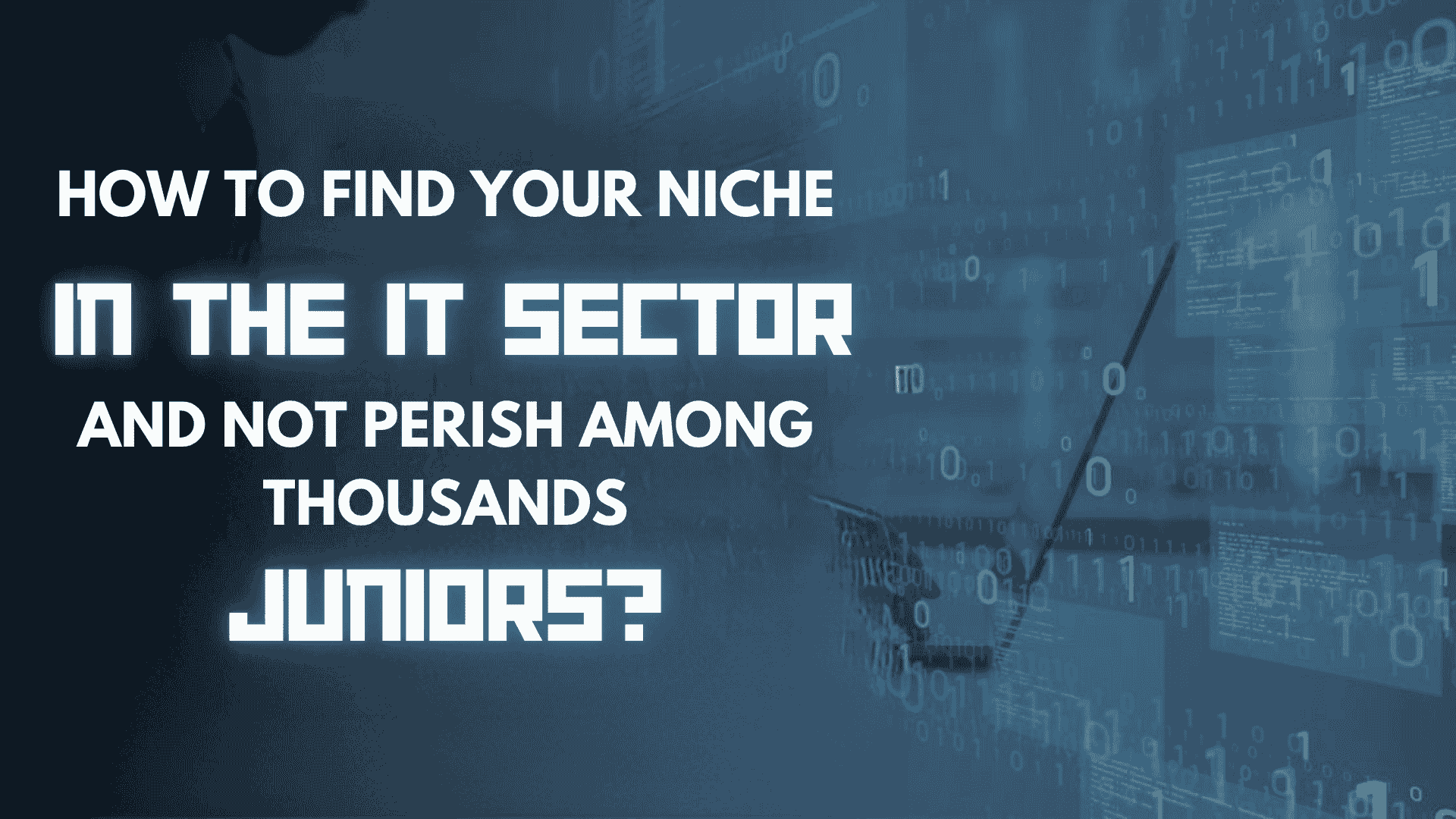 How Not to Get Lost in the Crowd of Juniors? On Niches in the IT Industry