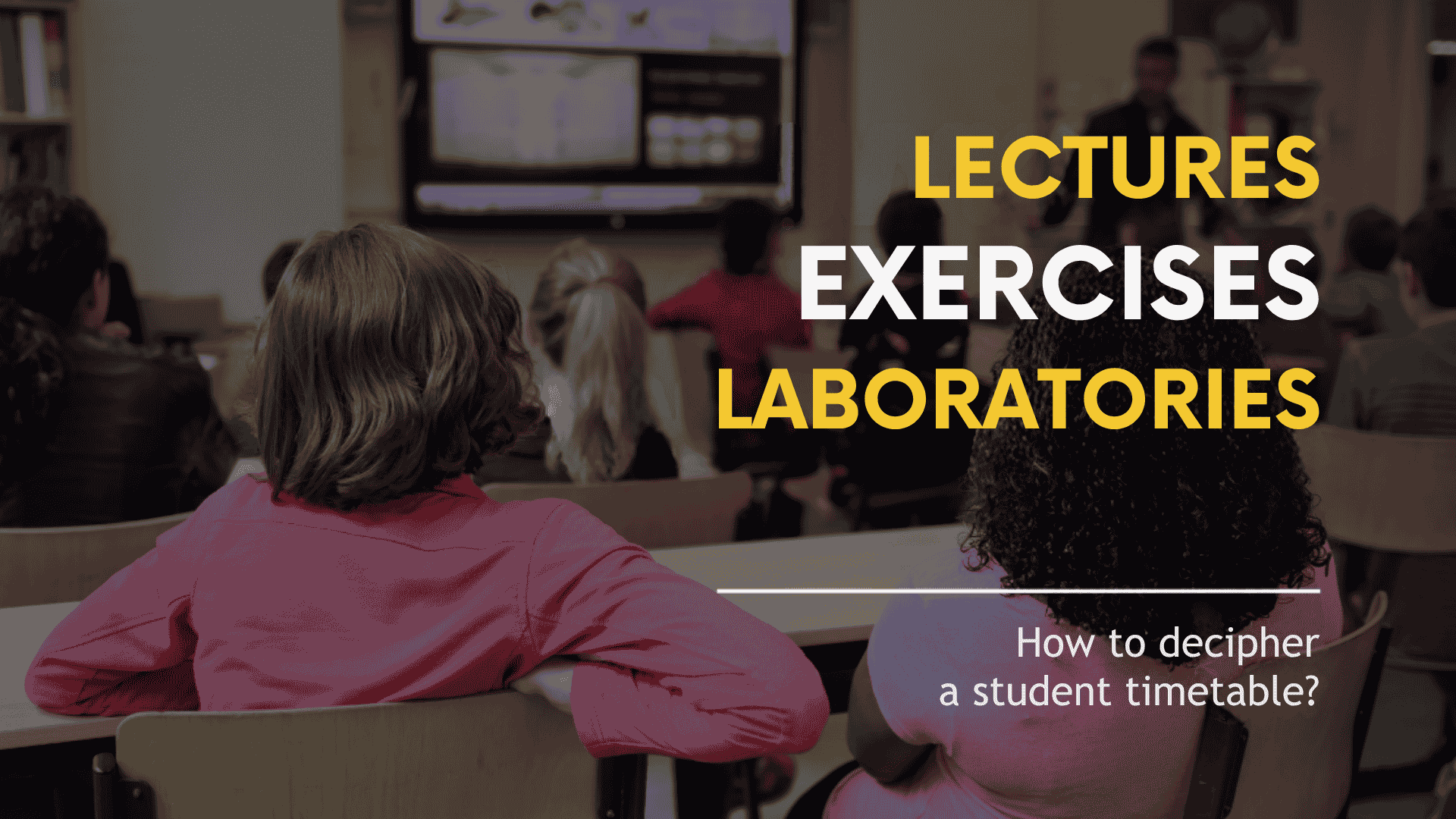 Class Schedule Under the Microscope – How to Navigate the Academic Timetable?